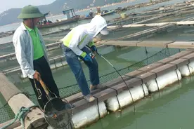 海钓全飘钓组：在小潮死汛天屡立奇功的钓组，状态自然是关键图片