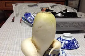 日本一农场培育的异种萝卜图片