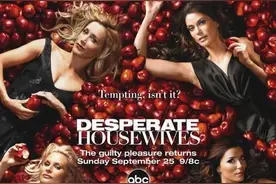 《Desperate Housewives》我为台词狂图片