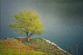 大连西郊棠梨湖，湖光春色，人间小暖图片