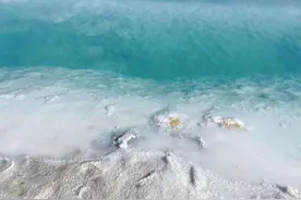 心中的海？图片