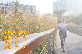 《离开前叫醒我》伤感又疗伤的情歌，好听至极视频封面