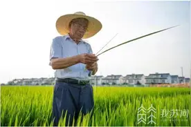 “追梦人”端木银熙：稻田里播种金色希望 | 江苏最美人物图片