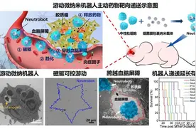 哈工大研发游动微纳机器人治疗胶质瘤取得重要进展图片