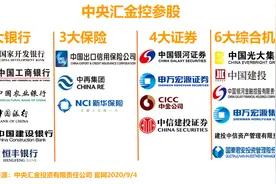 「一图看懂」股市里赫赫有名的国家队都有谁图片