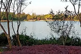 老婆在我不知情的情况下花了三十万图片