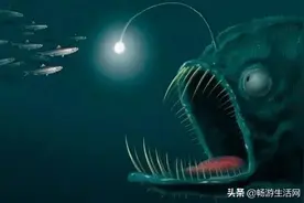 奇丑无比却美味无穷，汇悦海洋牧场这种鱼你也吃过图片