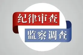 北京市教委副主任张洋主动投案接受审查调查图片