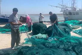开渔！黄渤海结束休渔期 400多艘渔船齐出海图片