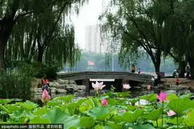 免费！毗邻玉渊潭，这个公园人少景美，据说还能治“颈椎病”！图片
