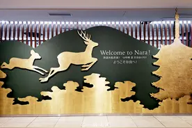 日本旅行，实拍当地的电车系统，看看和中国比谁更先进图片