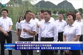 刘文新调研旅游产业化工作时强调 大力实施文旅兴州战略 加快为高质量发展增添新动能图片