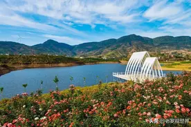 12000㎡鲜花盛开！又一拍照打卡胜地，攀枝花这地方要火图片