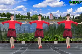 越剧经典《天上掉下个林妹妹》简单60步广场舞 附正背面口令分解视频封面