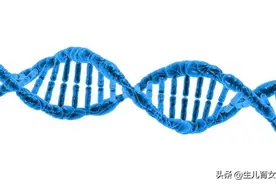 备孕须知：生理知识：也许你不知道的遗传病知识（1）图片