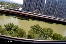 小区阳台突然起火，架子都被烧焦！警方调查后发现可疑身影图片