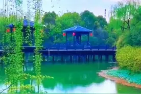 淡淡流水载天鹅，悠悠鱼儿水中游，好美的画面图片