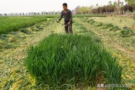 山西农民大哥不要低保要贷款，2年脱贫年收入8万元，看他靠什么图片