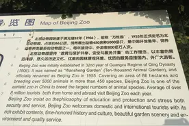 北京动物园游玩攻略图片