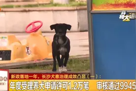 这些区域不能养狗，违者罚2千！下月起，长沙将进行犬只大摸底！还没给狗狗上牌的，赶紧图片