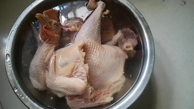 海参花胶煲鸡汤忌讳 2026年海参花胶煲鸡汤忌讳吃吗