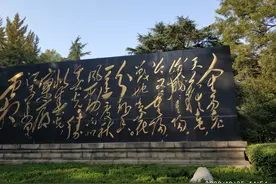 走遍中国之——山东自驾两日游图片