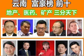 云南富豪榜前十：地产、医药、矿产 三分天下，解密国资贡献图片