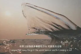 我喜欢现在的年龄，却不喜欢现在的自己图片