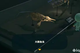 【动物森友会】博物馆化石不完全图鉴及考据图片
