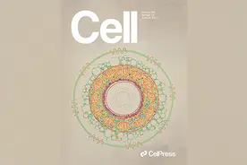 今日Cell：入血的细菌，决定HIV治疗免疫重建？图片