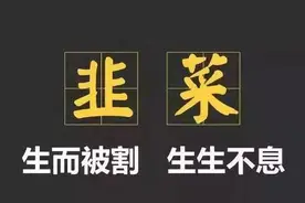 那些年我们被割过的“韭菜”图片