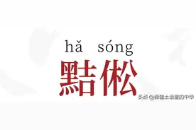 我把你个黠倯「hǎ sóng」图片