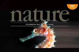 浙理工的研究生发论文创学校历史，回乡考公务员，为何不读博？图片