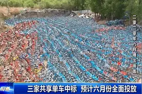 最新！长春共享单车投放时间初步确定图片
