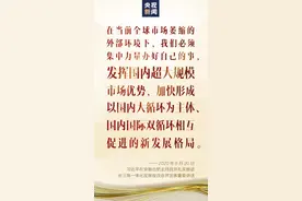习近平：创新主动权、发展主动权必须牢牢掌握在自己手中图片
