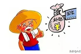 湖北天门发放1.6亿元补贴！约30万农户受益图片