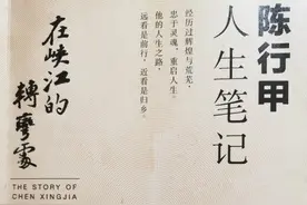 简单的谈谈我眼中的陈行甲图片