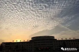 两个高三“基友”的故事图片
