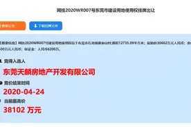 天麟地产3.8亿斩获东莞石龙地王！11020元/㎡+配建3620㎡安居房图片