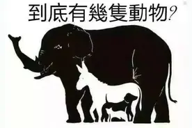 哈佛智力测试：图中共有几动物？3种傻，5种正常，7种以上是天才图片