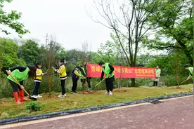 “3·12”植树节｜秀峰区给桂林桃花湾旅游休闲绿道种下“梧桐树”图片