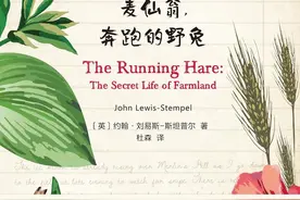 治愈系《拖拉机，麦仙翁，奔跑的野兔》：当代梭罗的喜与忧图片