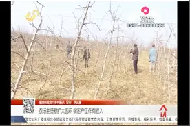临沂农场主招工挺特殊，不看学历和工作经验，只招贫困户！视频封面