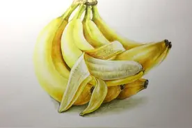 色铅彩绘 | 一串香蕉这样画，够详细了【零基础彩铅画入门教程】图片