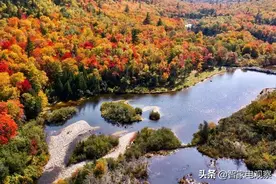 个护小家电前景大好，掉队的飞科电器能否翻盘？图片