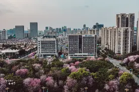 东北老铁过冬养老不用都往北海挤，广西这两座城市，物价低环境好图片