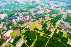 淮河岸边竟有一个古江国，是中华江氏寻根地，这里乡土风情很迷人图片