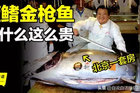 30年前只能做猫粮，今天为何变成奢侈品？蓝鳍金枪鱼为何如此贵图片