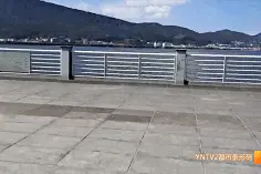 空无一鸥！？海埂大坝的海鸥去哪儿了？记者实地探访图片