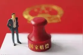 【新时代检察宣传周】《申请国家赔偿指南》图片